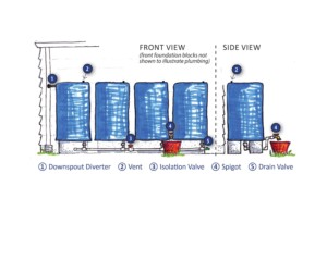 History of Blue Plastic Barrels - BlueBarrel Rainwater